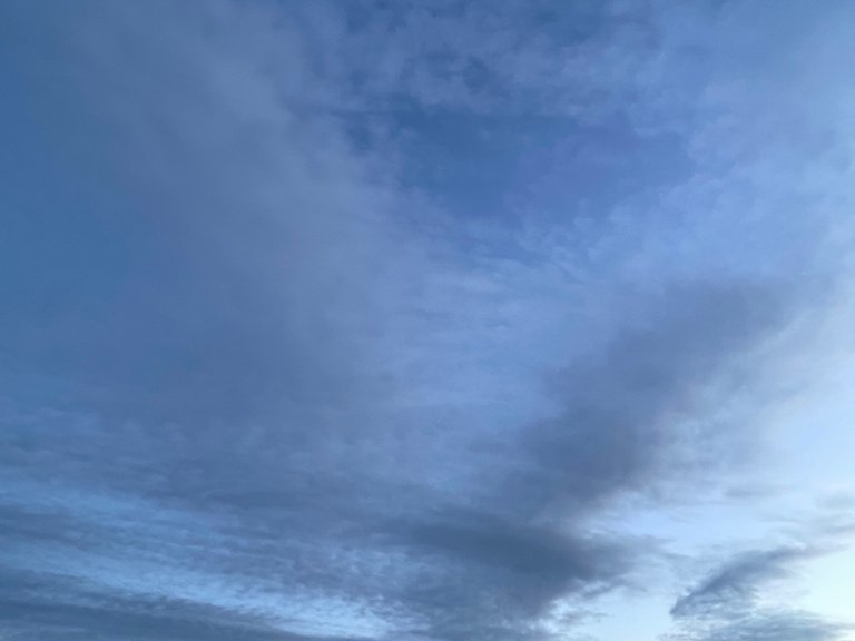 IMG_1013.jpeg