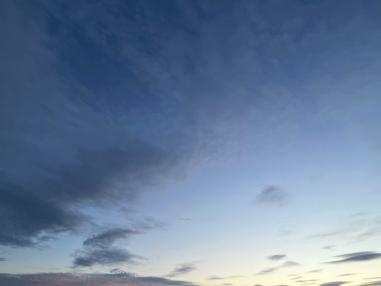 IMG_1012.jpeg