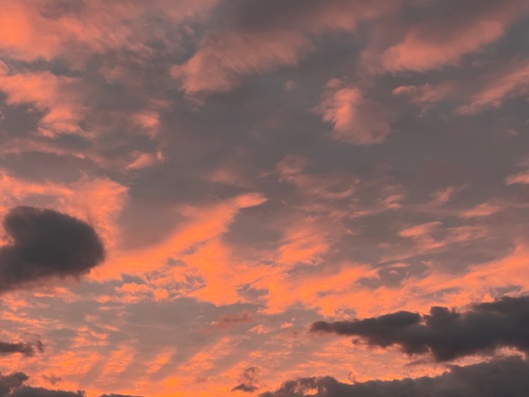 3053C633-99D7-40D0-8B81-5AFB941F66D5.jpeg