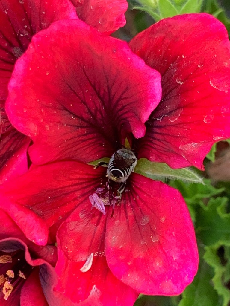 Snapseed.jpg