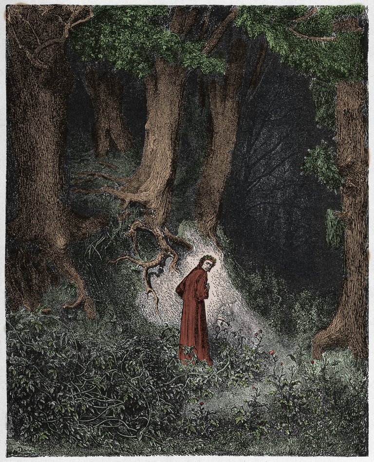 First song of Hell: the poet Dante finds himself in a forest, Illustration by Gustave Dore