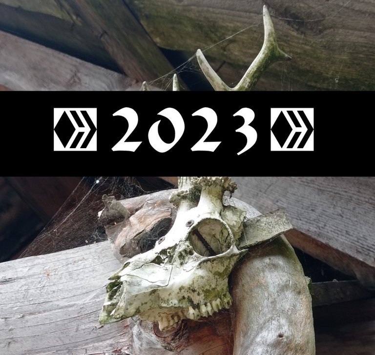 2023-czolowka.jpg