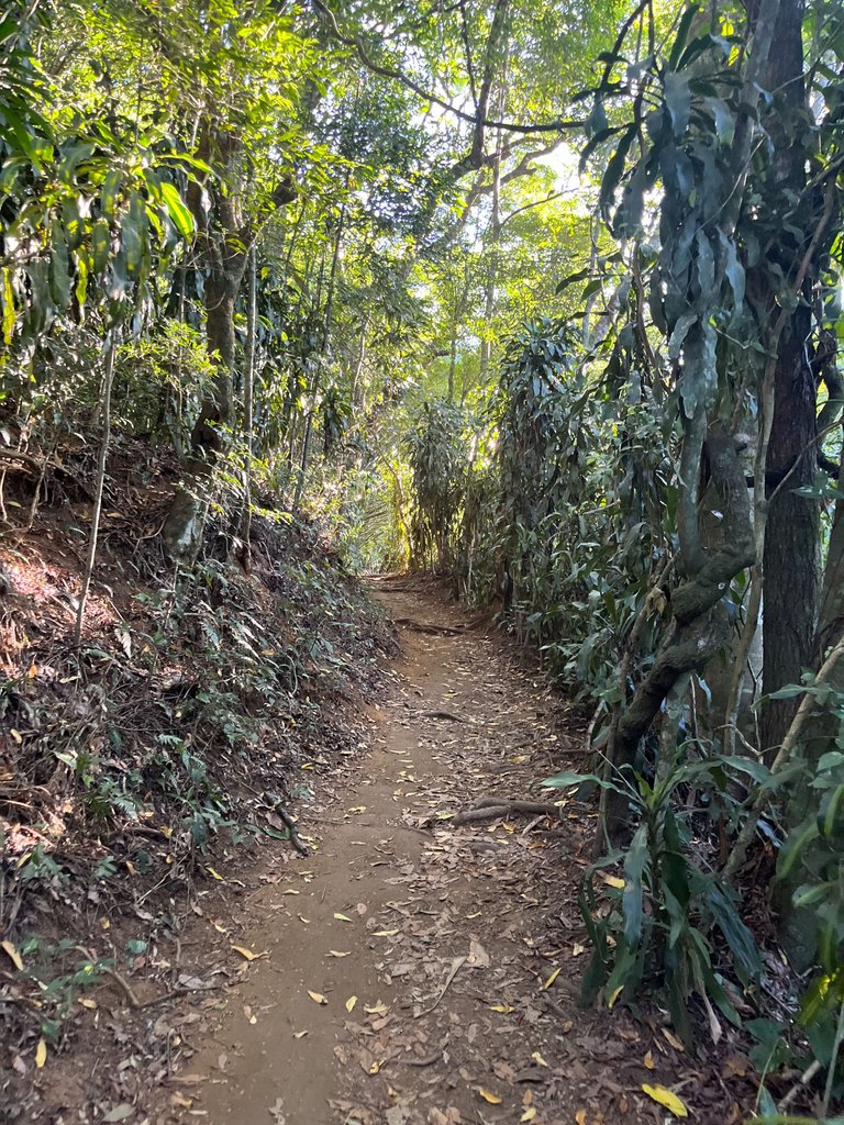 up the mountain we go