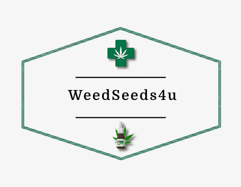 WeedSeeds4u Logo CBD.jpg