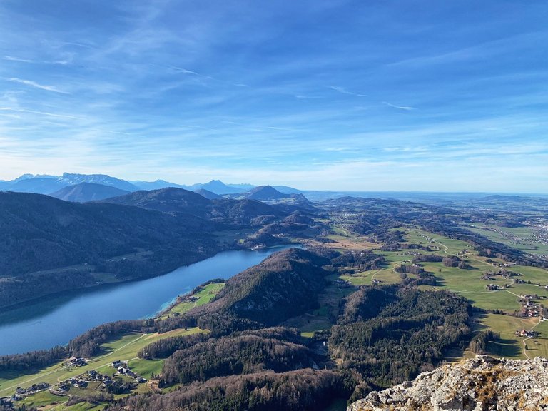 Schober4.jpg