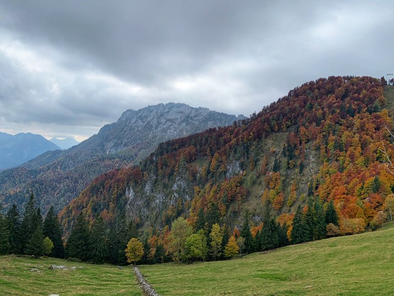 Herbst2.jpg