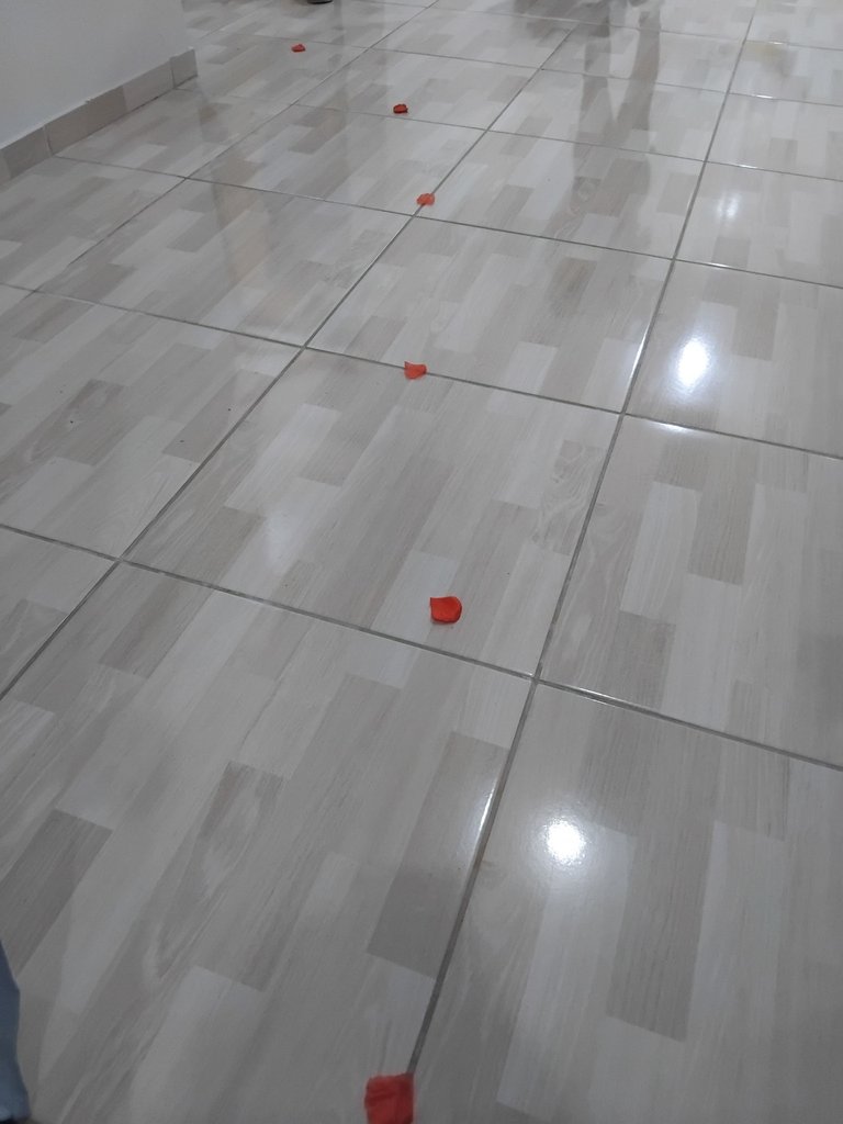 1000095352.jpg