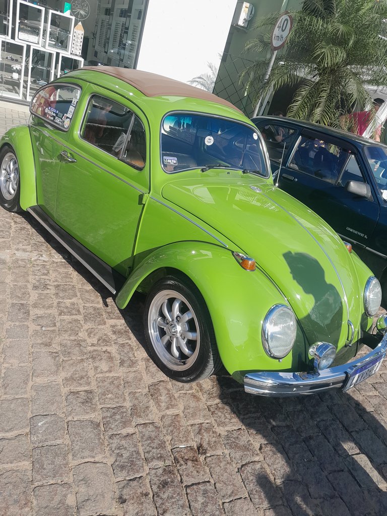 1000103946.jpg