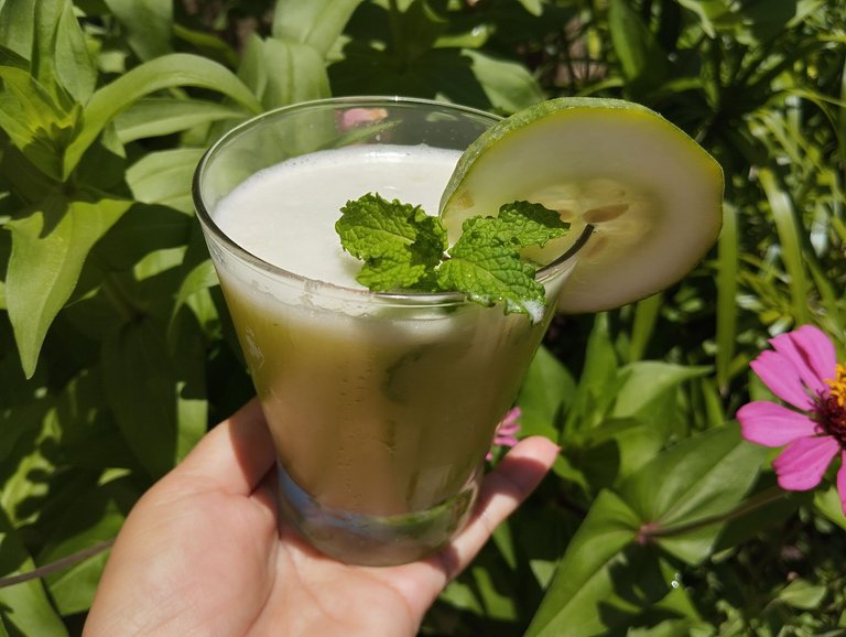 Delicioso jugo de Pepino [ESP/ENG]