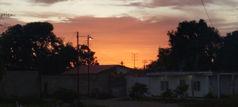 IMG_20250720_184505.jpg