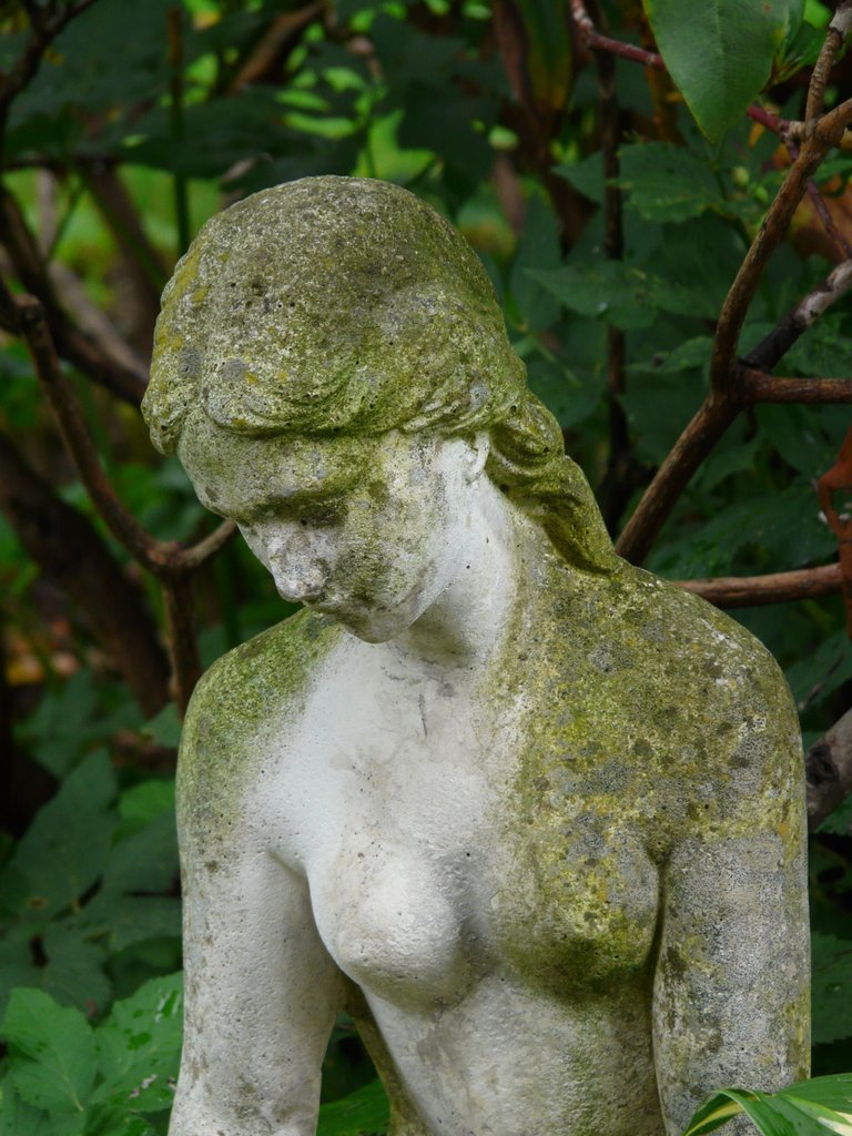 woman-stone-monument-statue-green-botany-sculpture-art-figure-ķ-naked-erotic-madonna-stone-figure-breasts-stone-carving-1145403-2123668263.jpg