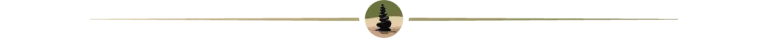 TDP--PageDivider60.webp