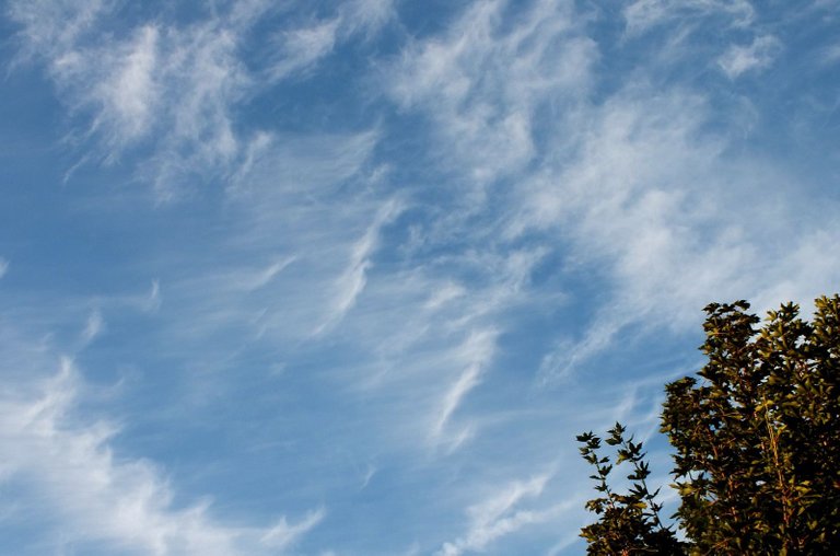 WLE-0124-Clouds.JPG