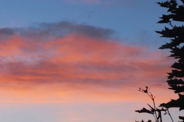 WLE0114PinkClouds.jpg