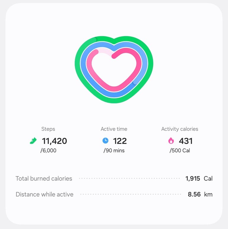 My Health log for that day on my phone.