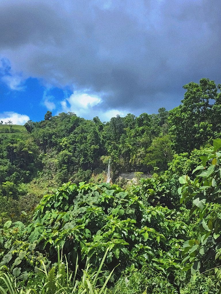 The falls, becoming visible from the road.