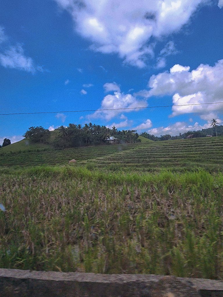 1000019926.jpg