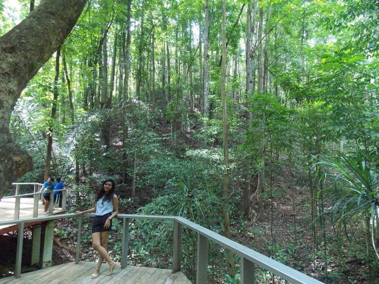 Inside Bilar Eco Park in 2016