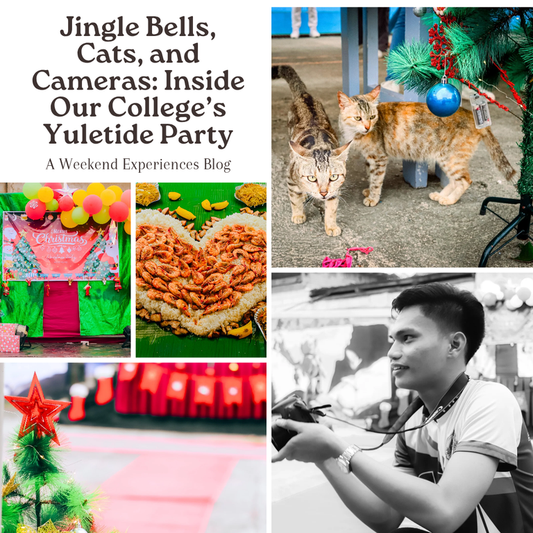 Copy of Copy of Brown and White Simple Travel Collage Instagram Post_20251221_201709_0000.png