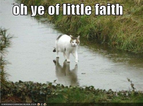 Oh Ye Of Little Faith.jpg