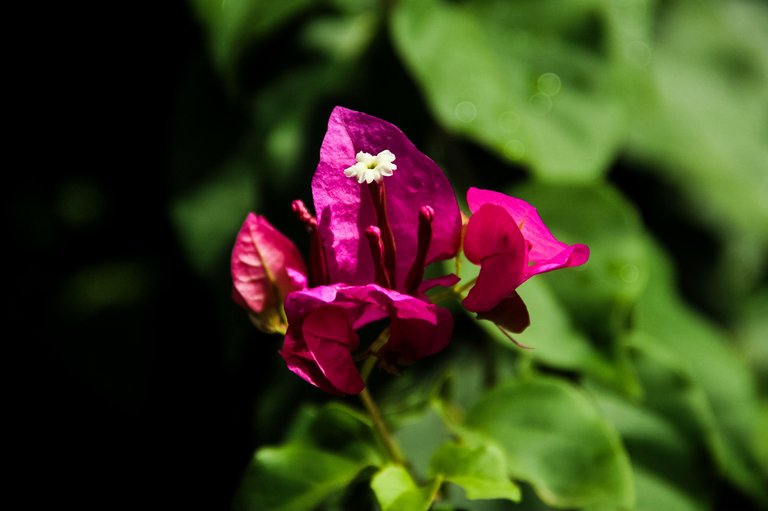 IMG_6567.jpg