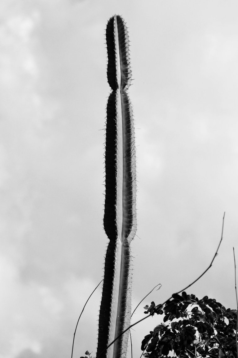 1000169204.jpg