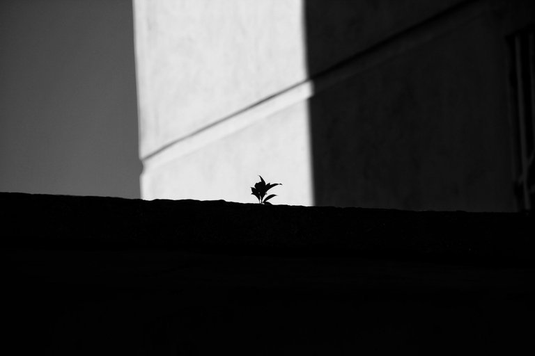 1000168557.jpg