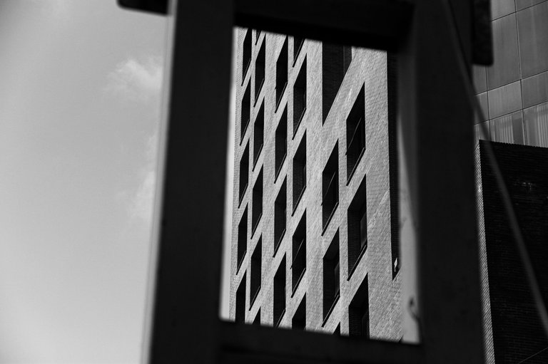 IMG_6363.jpg
