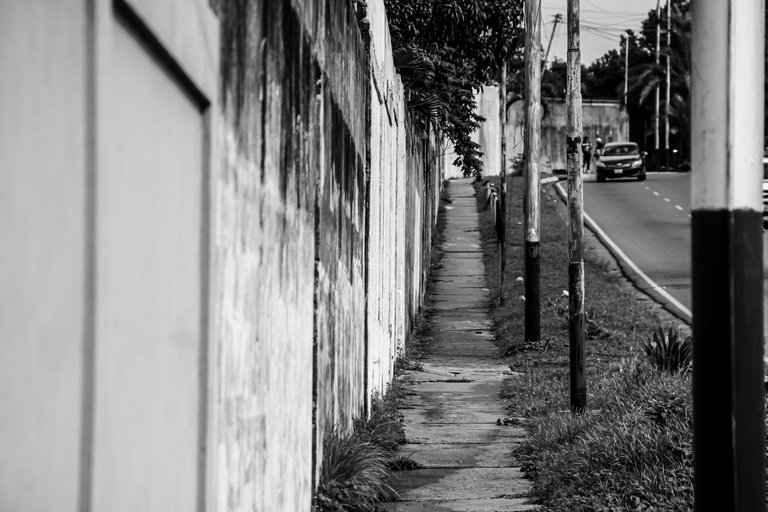 IMG_5993 (1).jpg