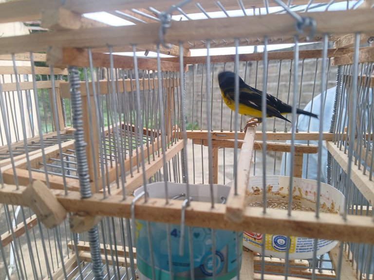 20250816_155209.jpg