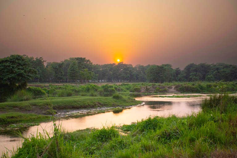 RiverInChitwan0016.jpg