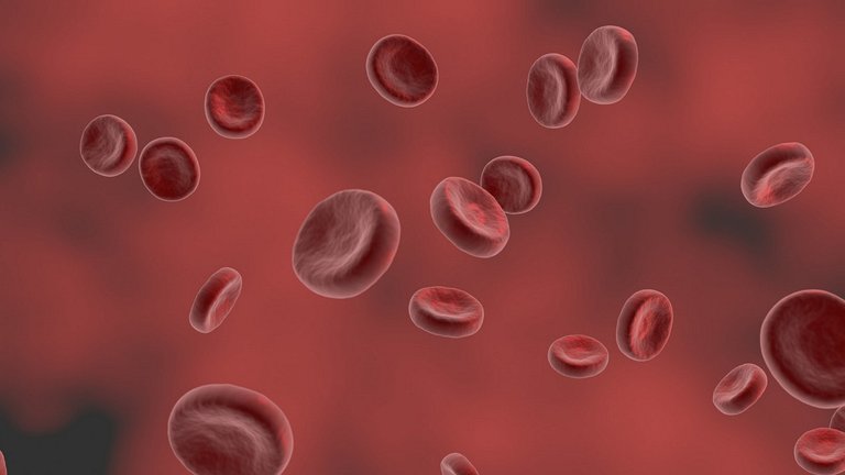 red-blood-cell-5280112_1280.jpg