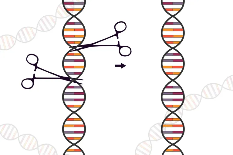 crispr-5635795_1280.webp