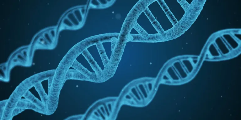 dna-1811955_1280.webp