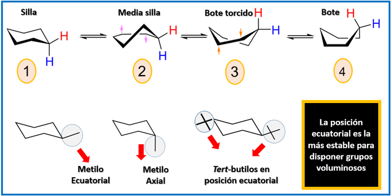 CONFORMACIONES DEL CILOHEXANO