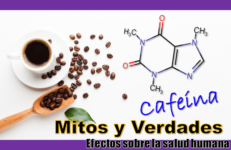 Banner Mitos y Verdades sobre la Caféina. Efectos sobre la salud humana.png