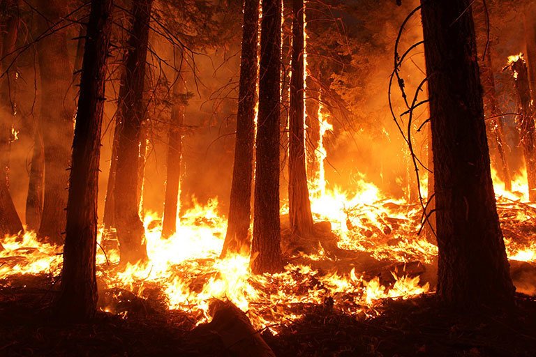 2315_wildfire_768_60.jpg