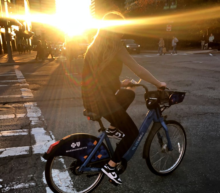 SunbirstBicycle.JPG