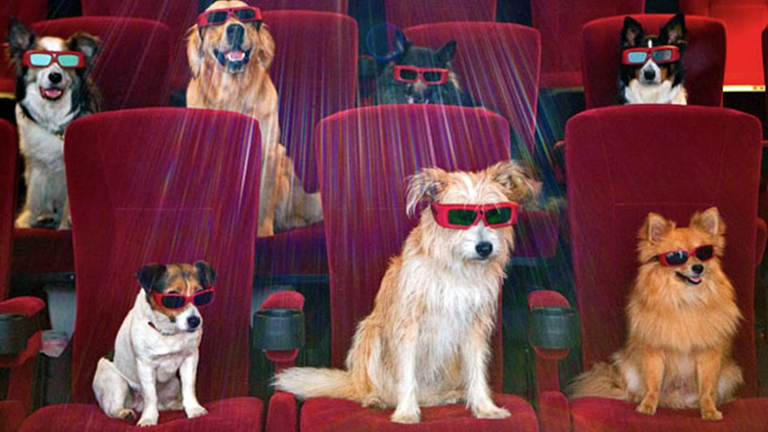 movies_dogs.png