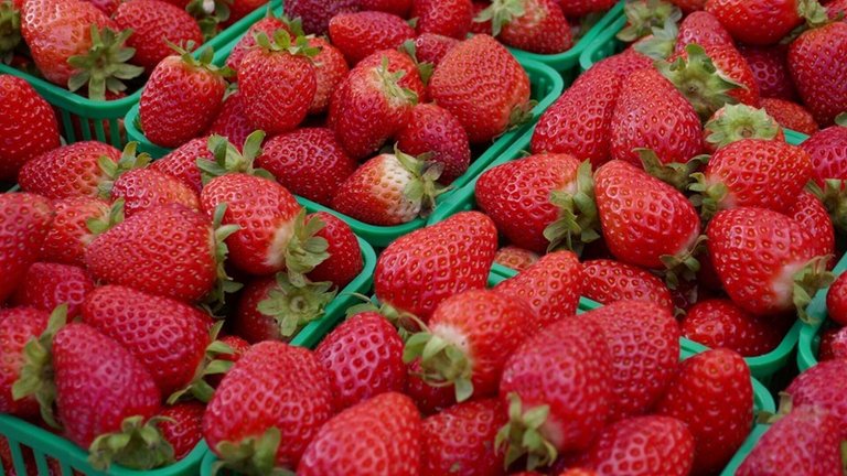 strawberry_of_love04.jpg