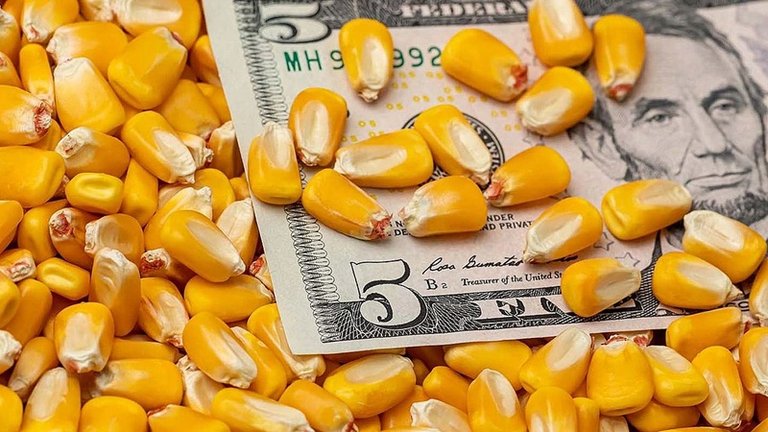 price_corn_br.jpg