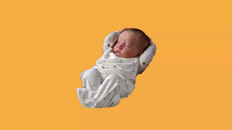 reborn_babies01.png
