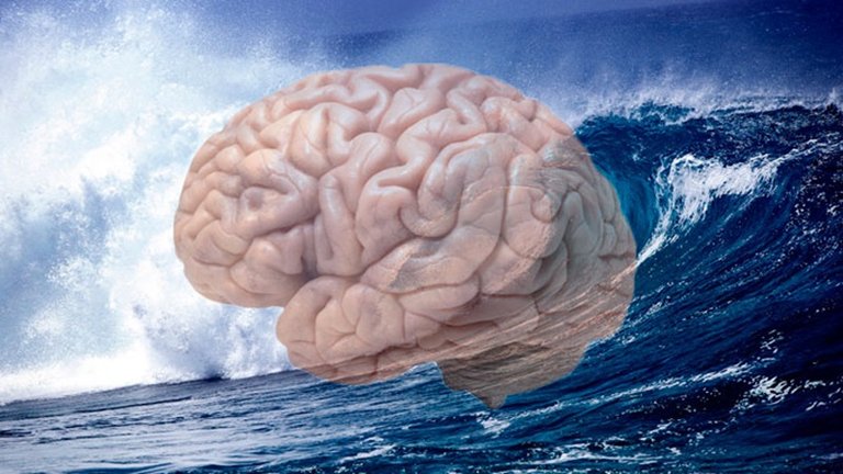 brain_movie_surf.jpg