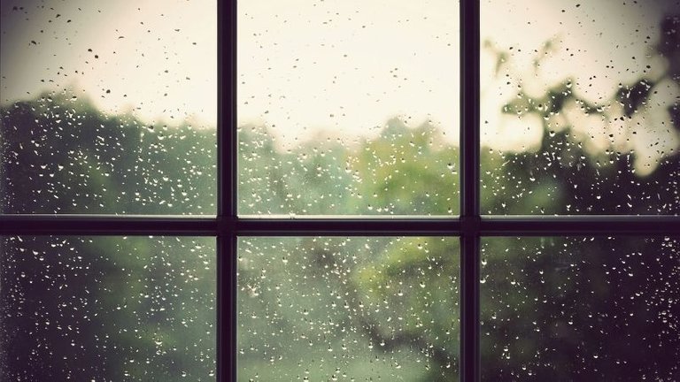 rainy_day_may.jpg
