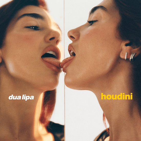 dua_lipa_houdini.png