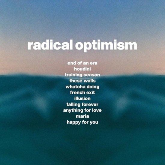 radical_optimism02.jpg