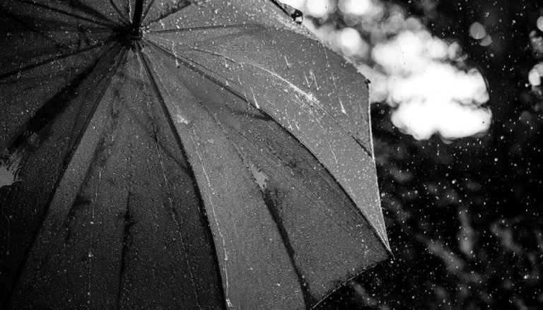 umbrella_pob.jpg