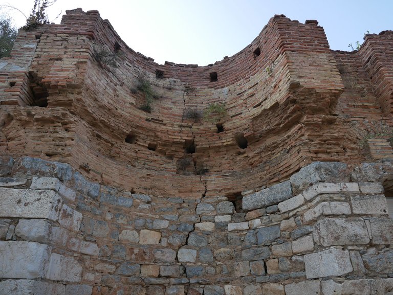 P1010175.JPG