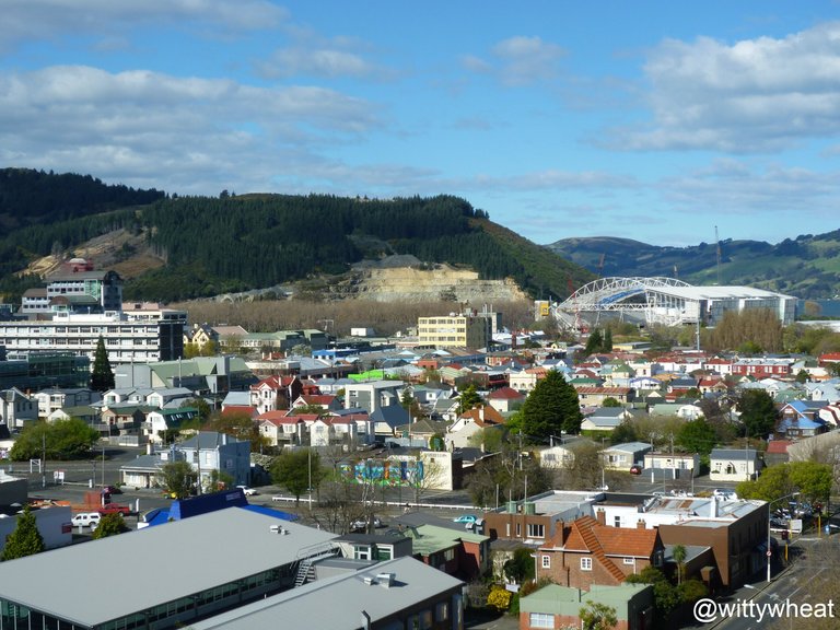 P1010720b.jpg
