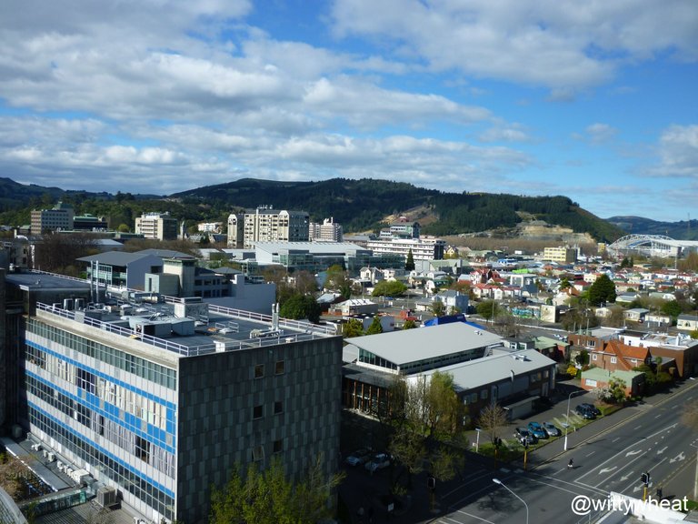 P1010719b.jpg
